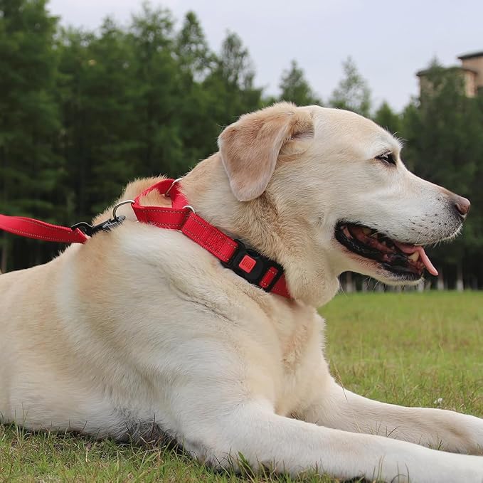Joytale Martingale Collar for Dogs, Reflective Heavy Duty for Safety, Quick Release Buckle, Adjustable Nylon Collars for Large Dogs Walking Training, Red,L