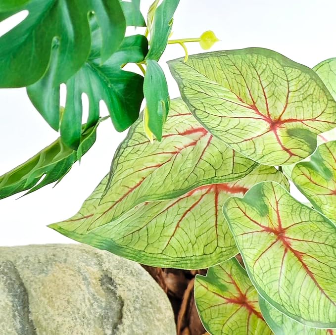 Woyrise Reptile Artificial Plants for Terrarium Decor, Amphibian Habitat Decorations Bearded Dragon Tank Accessories fit Crested Gecko Leopard Lizard Chameleon Ball Python Snake Frog - Fake Caladium