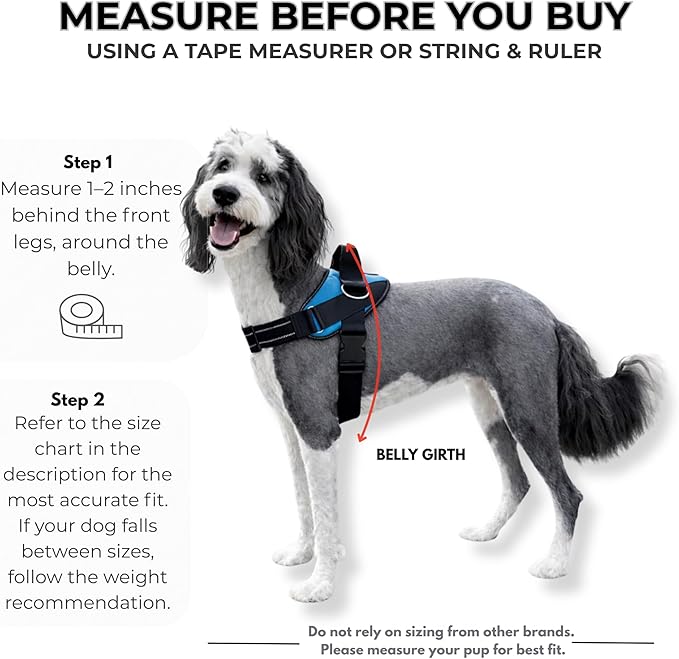 ShawnCo Essential Dog Harness, No-Pull Pet Vest with 3 Leash Clips, No Choke, Reflective, Adjustable and Padded, for Easy Walking and Training for Small, Medium and Large Dogs (Orchid, S)