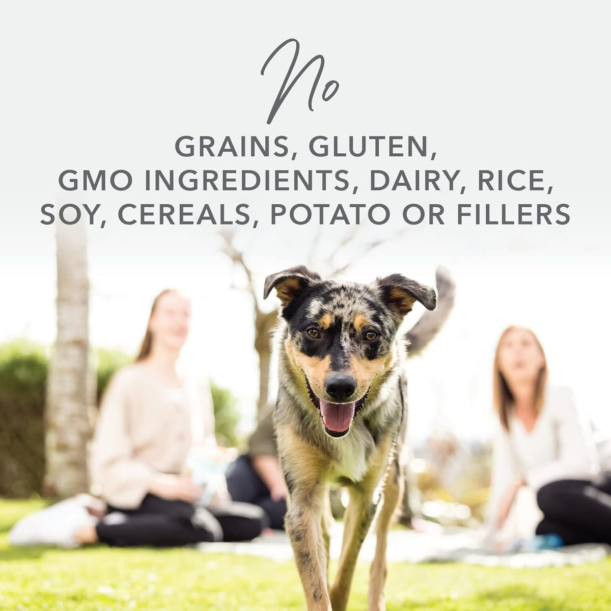 K9 Natural - Grain Free Freeze Dried Dog Food - Lamb & Salmon, 4lb