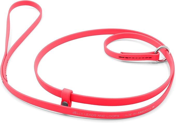 Jelly Pet Grooming Lead for Dogs | Great for Kennels, Veterinarians and Dog Grooming Salons | Biothane Leash - Easy to Clean, Waterproof & Durable Noose Loop | Made in The USA | 5/8" x 6'