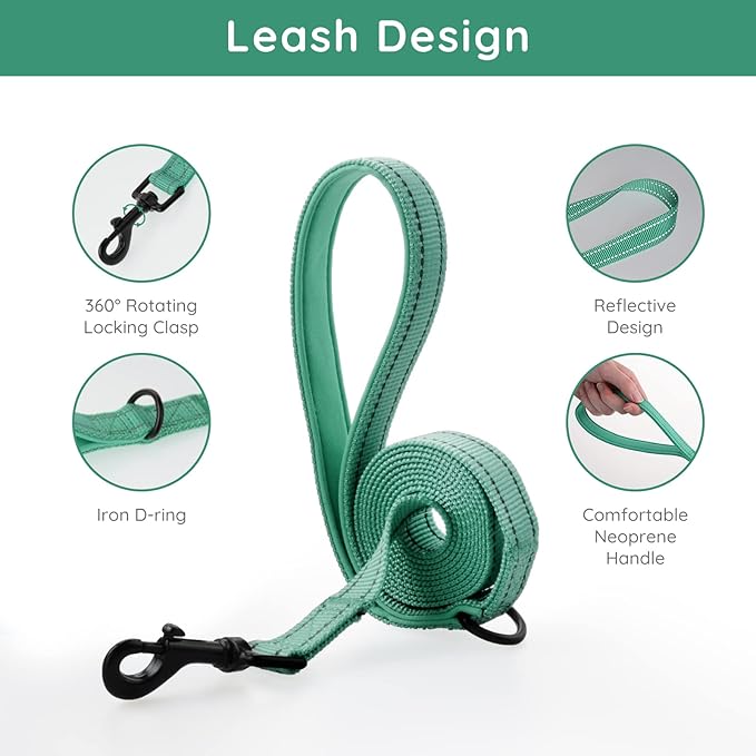 BELLA & PAL Small Emerald Dog Harness with Leash Set, No Pull, Step in Design, Reflective, Lightweight Mesh, S
