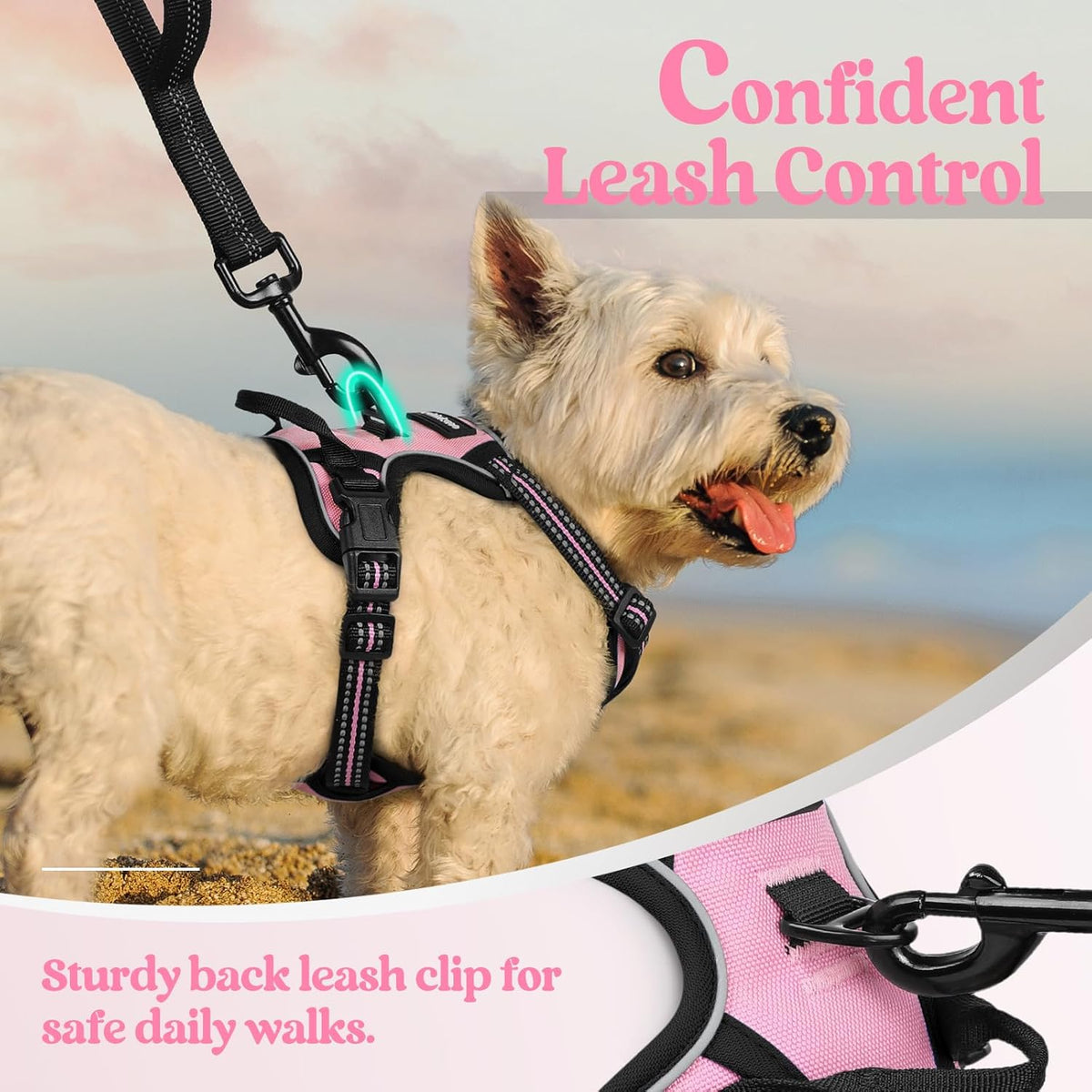 rabbitgoo Dog Harness No Pull with 2 Leash Clips, Adjustable Soft Padded, Reflective Oxford No Choke Pet Vest with Easy Control Handle for Puppy, Pink, XS