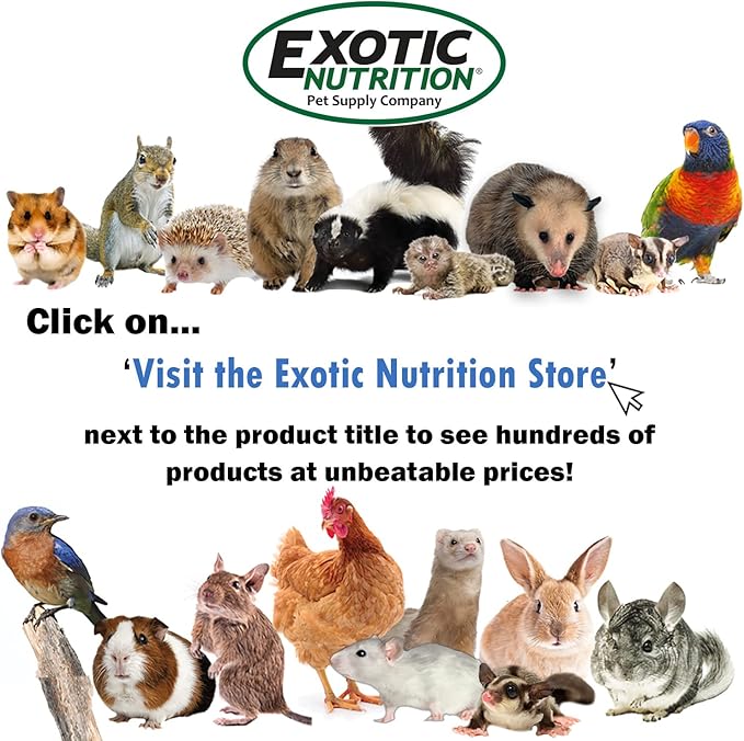 Durable All-Metal Mansion Cage for Chinchillas, Rats, Ferrets, Degus (2-Level)