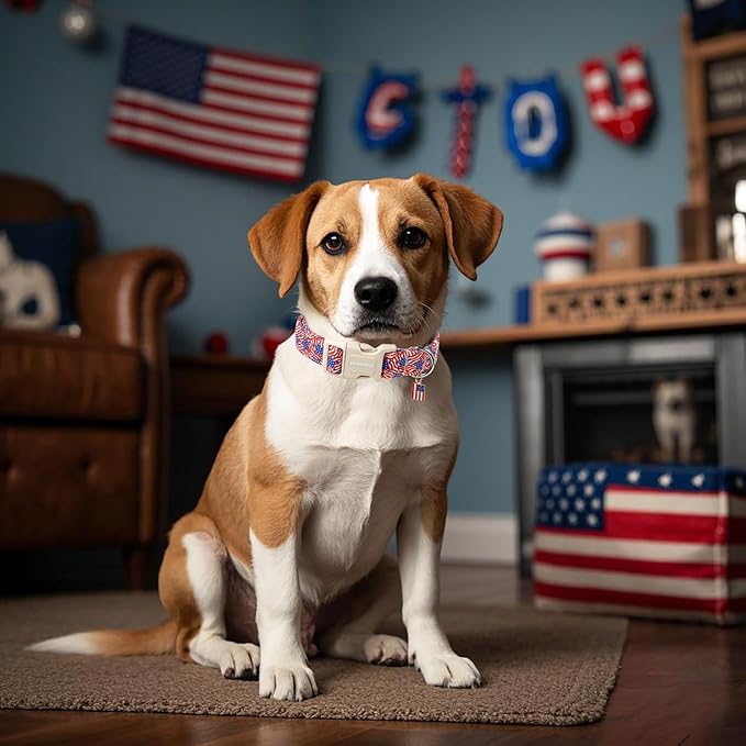 DOGWONG American Flag Dog Collar, Patriotic Independence Day Dog Collar Soft Fabric Pet Dog Collars, Boy Red White and Blue Necklace for Small Medium Large Dogs