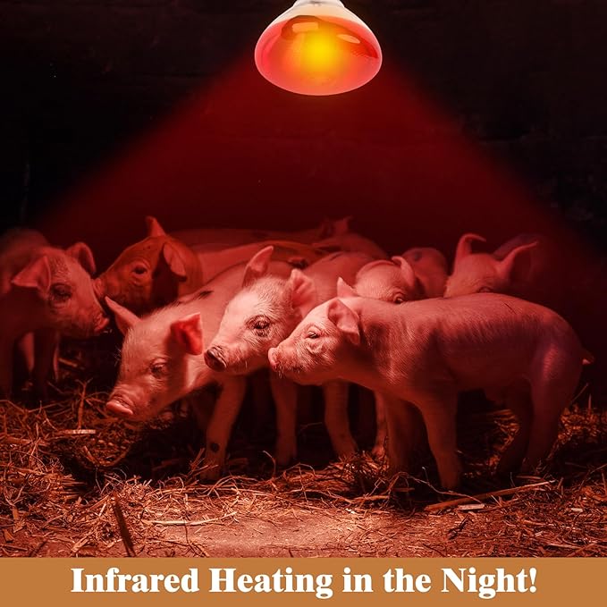 250W Red Heat Lamp Bulbs for Chicken,Infrared Flood Light Heat Lamp Bulb, Incandescent Light Heat Lamps for Chicks, Reptile, Pets, Par38 Glass E26 Base