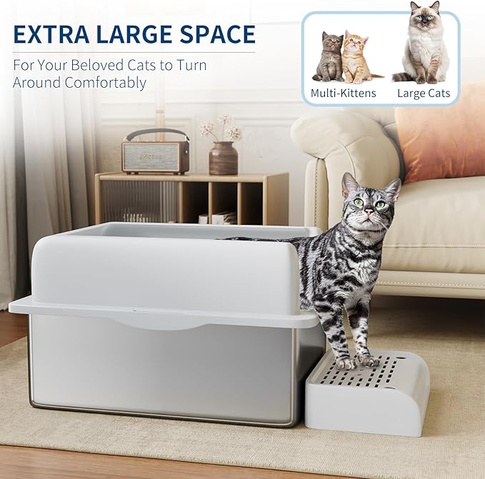 Stainless Steel Cat Litter Box 6 inch, XXL Large Cat Litter Tray with High Side, Platform Step and Scoop for Big Cats Multiple Cats, Easy Clean