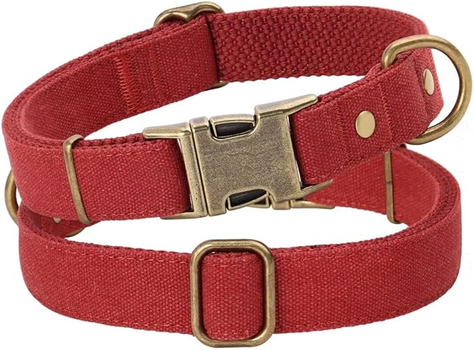 PET ARTIST Dog Collars for Small Dogs, Soft Padded Premium Nylon Dog Collar with Quick Release Metal Buckle, Durable & Adjustable Pet Collars for Boy Gifts, Red, S (Fit 10-16")