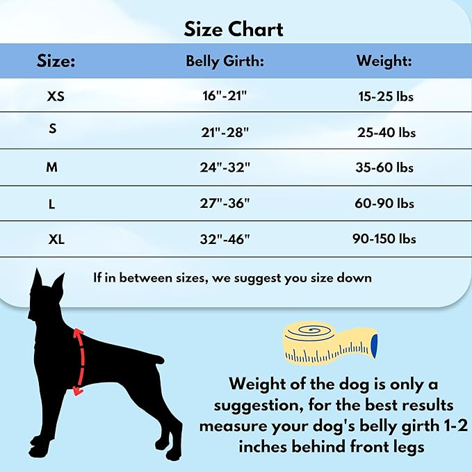 ShawnCo Dream Walk No-Pull Dog Harness- Adjustable, Comfortable, Easy to Use Pet Halter to Help Stop Pulling for Small, Medium and Large Dogs (Midnight, S)