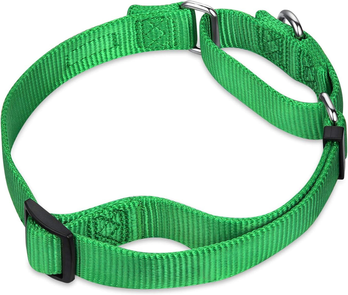 Hyhug Martingale Dog Collar Without Buckle: Anti Escape, No Slip Heavy Duty Nylon, Colorfast Adjustable Pet Supplies for Medium Breeds(Medium, Lime Green)