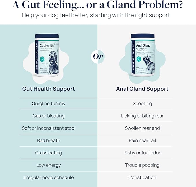 Veterinary Formula Gut Health Supplement for Dogs – Vet-Formulated Probiotic Chews with Digestive Enzymes & Fiber – Smart Vitality Supports Digestive Health, Gut Balance & Stool Quality, 60 Soft Chews