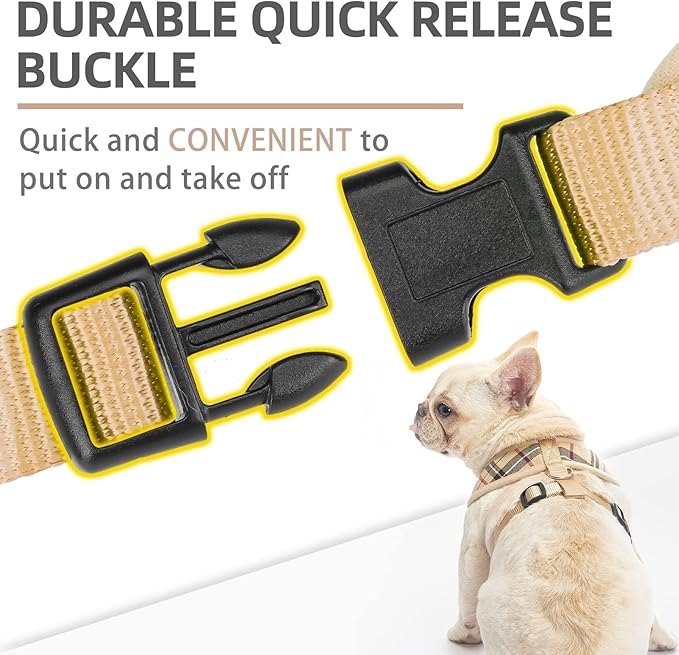 PUPTECK Soft Mesh Dog Harness Small Sized and Leash Set Pet Puppy Cat Comfort Padded Vest No Pull Harnesses, Beige, S