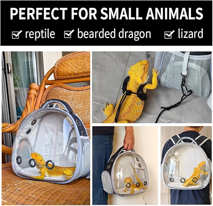 Bearded Dragon Lizard Backpack Carrier with Harness and Leash Set, Small Animal Carrier Backpack, Space Capsule Bubble Window, Small Pet Carrier Backpack, Airline Approved (Black)