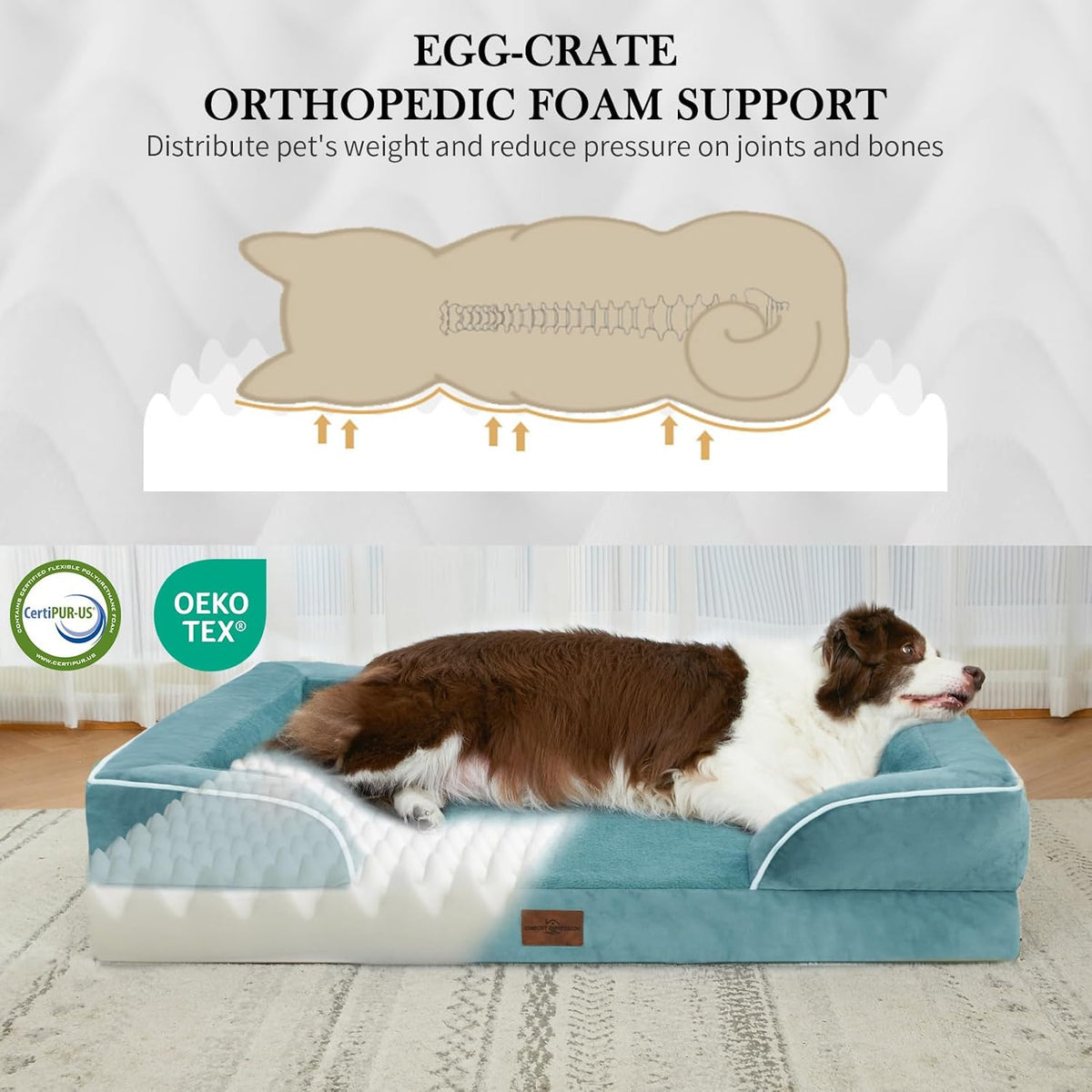 Comfort Expression Small Dog Beds Waterproof Cat Beds Orthopedic Foam Sofa Beds for Small Dogs Comfy Pet Bed with Washable Removable Cover & Non-Slip Bottom(XX-Small,Washed Blue)