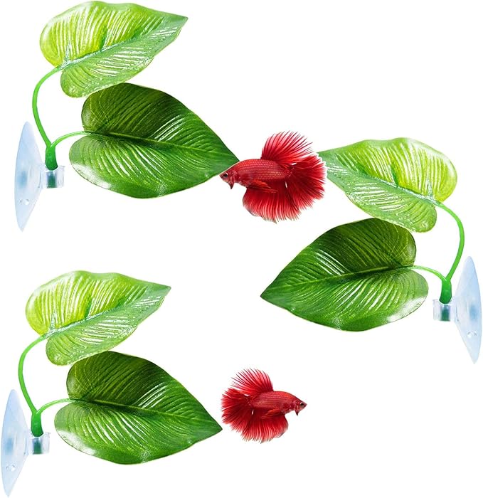 CousDUoBe 3 Pack Betta Fish Leaf Pad Improves Betta's Health by Simulating The Natural Habitat - Natural, Organic, Comfortable Rest Area for Fish Aquarium Ornaments