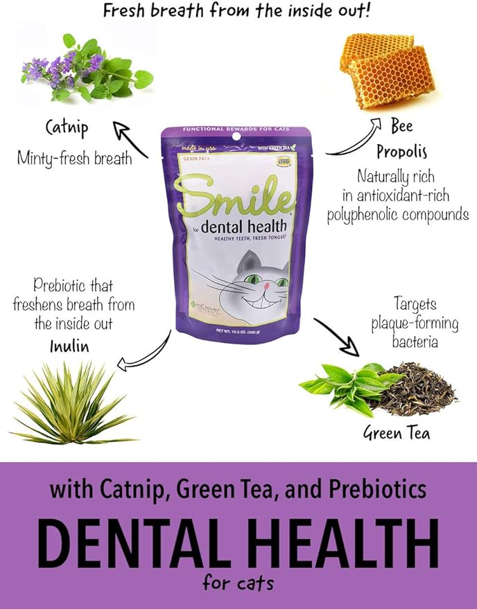 Smile Daily Dental Health Soft Chews for Cats, Support Healthy Teeth and Fresh Tongue with Catnip and Green Tea, Prebiotics, and Chlorophyll for Fresh Breath, 10.5 oz
