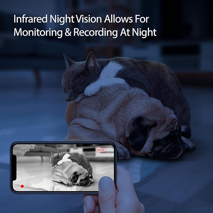 Energizer Smart Pet Feeder with 2K Video Camera, 5Ghz & 2.4Ghz Dual Band Wi-Fi, 2-Way Audio, Night Vision, 4L Food Capacity, Remote Feeding Dogs & Cats, Compatible with Alexa & Google, Records