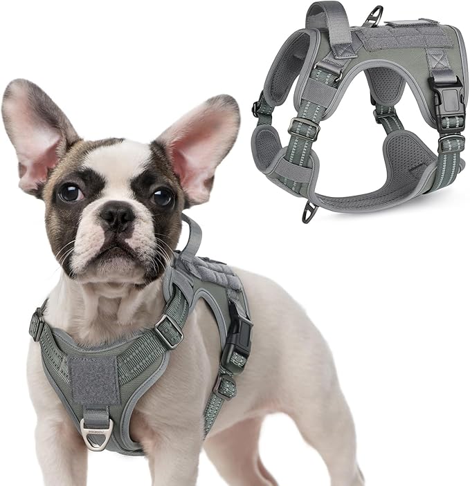 rabbitgoo Tactical Dog Harness for Small Dogs, No Pull Military Service Vest with Handle & Molle, Easy Control for Training Walking, Adjustable Reflective Straps, Dark Grey, S