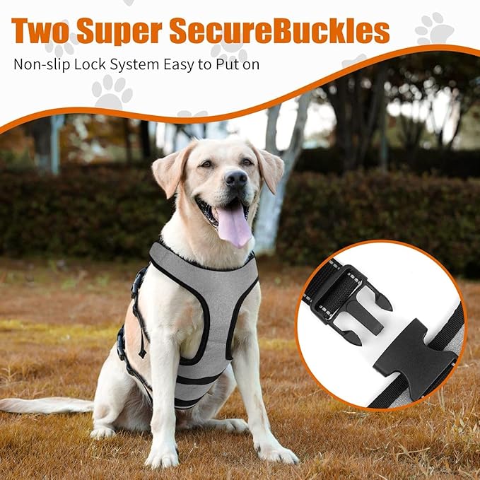 Ayquez Dog Lift Harness with Storage and Transport Bag, Dog Harness with Handle for Lifting & Hip dysplasia, arnés para Perros pequeños, pechera para Perros (Gray, L)
