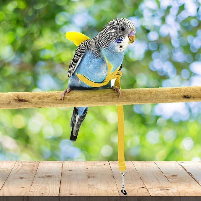 Dnoifne Pet Parrot Bird Harness and Leash, Adjustable Training Design Anti-Bite, Bird Nylon Rope with Cute Wing for Parrots, Suitable for Scarlet, Keck, Mini Macaw and Same Size Birds (Yellow)