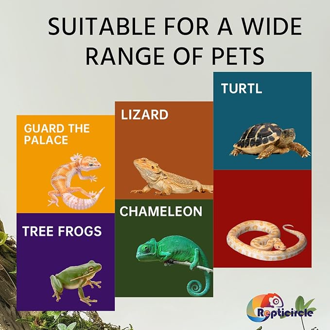 Large Rock Cave Hideout for Reptiles & Amphibians - Ideal for Bearded Dragons, Turtles, Snakes, Lizards, Geckos, Tortoises & Small Pets - Terrarium & Aquarium Decor, Safe Reptile Habitat