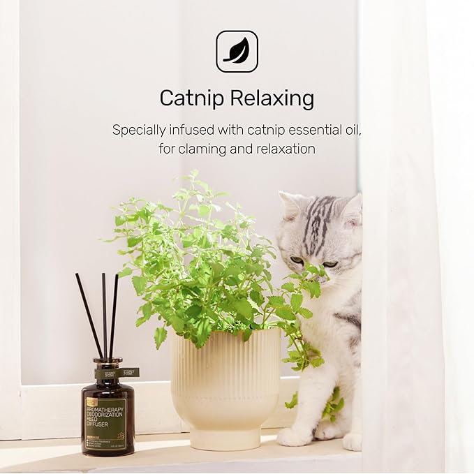 Reed Diffuser for Pet Odor Elimination, Berry Rum, Non-Toxic & Pet-Friendly Air Freshening, 6 Oz