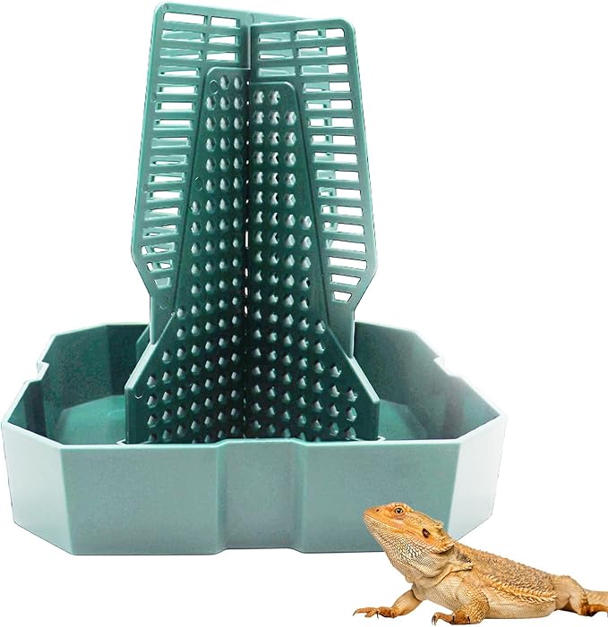 Bearded Dragon Tank Accessories, Lizard Feeder, Reptile Food Cup, Dubia Roaches Organizer with Column for Prey to Climb and Move, Food Bowl for Bearded Dragon, Gecko, Frog