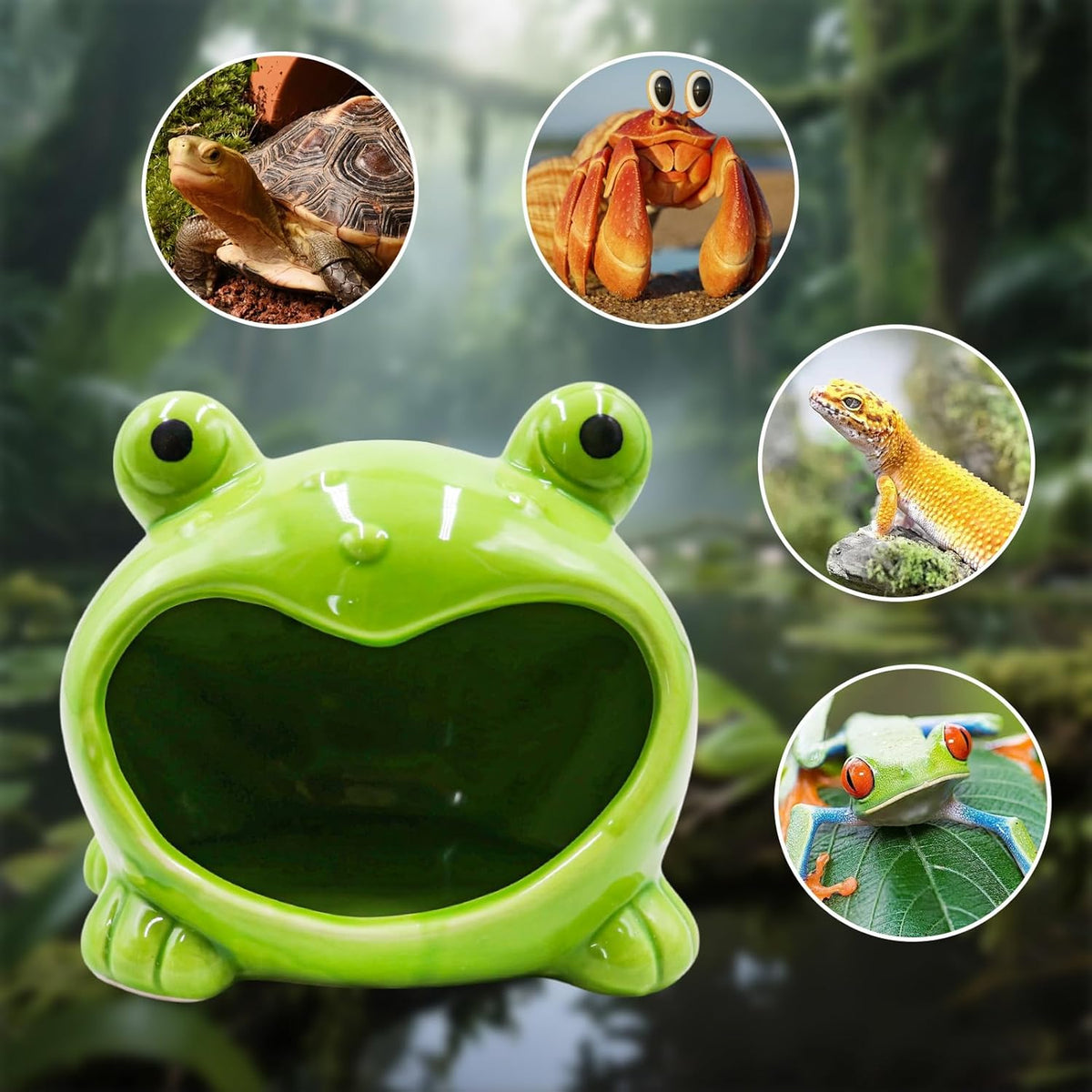 Reptile Tank Accessories – Ceramic Cartoon Frog Hideout with Open-Mouth Entrance, Cute Habitat Shelter for Hermit Crabs, Tortoises, Geckos, Tarantulas & Small Reptiles