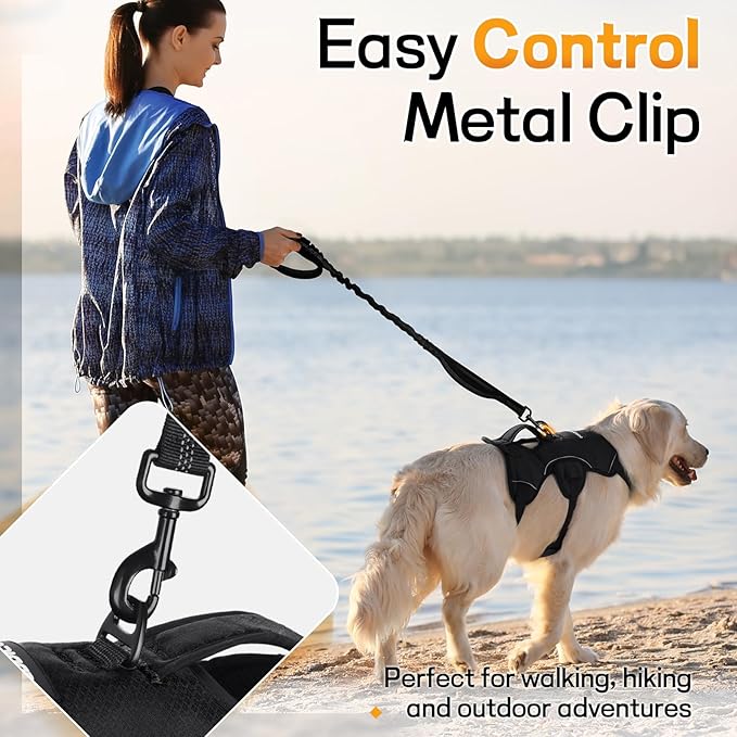 rabbitgoo Escape Proof Dog Harness, Soft Padded Full Body Pet Harness, Reflective Adjustable No Pull Vest with Lift Handle and Leash Clip for Large Dogs Walking Hiking Training, L, Black