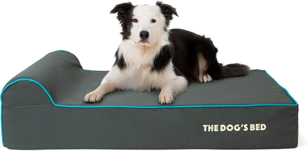 The Dog’s Bed Orthopedic Headrest Dog Bed Large Grey/Blue 40x25, Memory Foam, Pain Relief for Arthritis, Hip & Elbow Dysplasia, Post Surgery, Lameness, Veterinary Approved, Waterproof Washable Cover