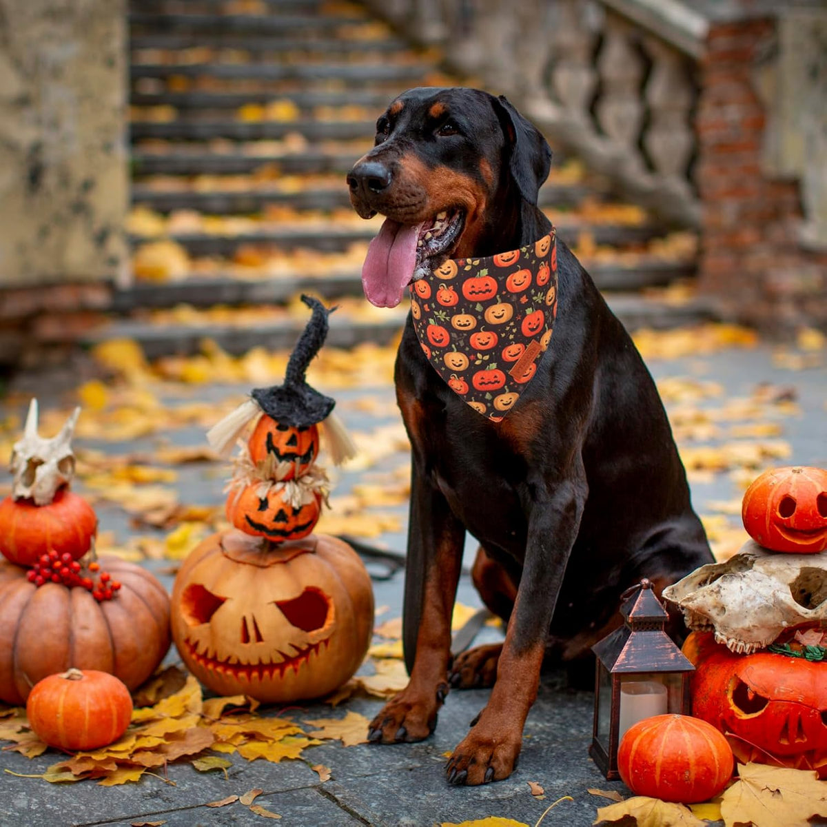 PTDECOR Halloween Dog Bandana, Skeleton Pumpkin Reversible Holiday Dog Scarf, Triangle Halloween Bandanas for Large X-Large Dogs (X-Large)