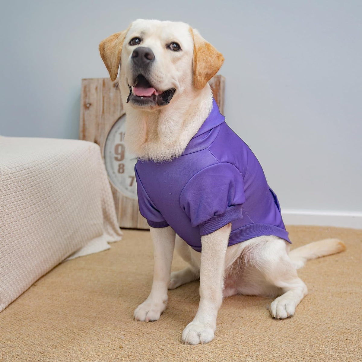 KOOLTAIL Basic Dog Hoodie - Soft & Warm Dog Hoodie Sweater with Leash Hole and Pocket, Dog Winter Coat, Cold Weather Clothes Sweatshirt for Small Medium Large Dogs Puppy Cat Boys Girls Purple XL