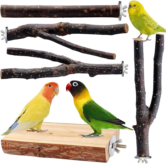 Bird Toys Parakeet Perch Budgie Perch Wood Stand Fork Toys Multi-Branch Perch Platform Toy for Small Conures,Cockatiel,Parrotlet,Lovebird,Parrot,Finches