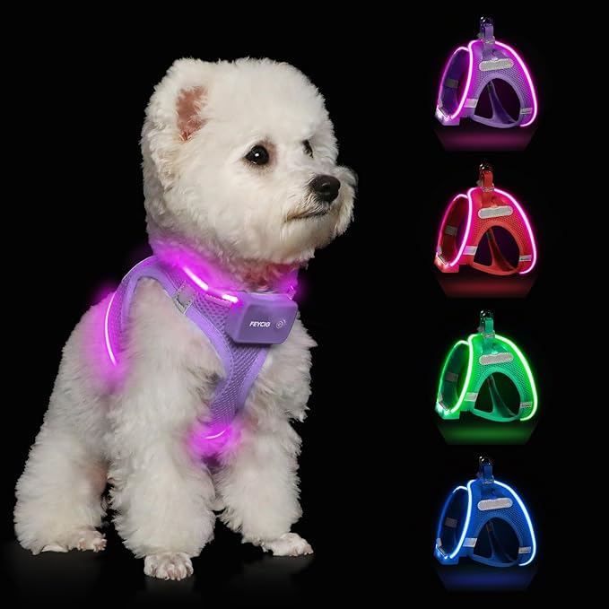 Light Up Dog Harness,Rechargeable LED Dog Harness for Small Medium Large Dogs,Reflective Lighted Safety Vest for Night Walking & Camping,Lightweight & Adjustable,Lavender Purple,L