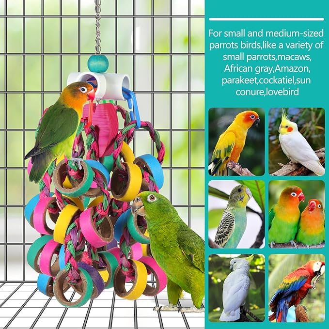 Bird Toys Conure Toys,Bird Parrot Foraging Shredder 24 Pcs Colorful Bagel Chewy Rings for Small Parrots Parakeets Conures Cockatiels Love Bird Cage Accessies (W)