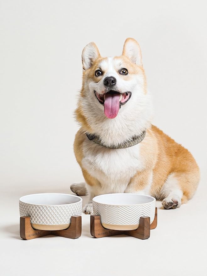 Ceramic Dog Bowl Set, 4 Cups Food and Water Bowl for Medium Small Dogs, Cute Pet Dishes with Wood Stand, Rhombus+Wave Design (Set of 2)