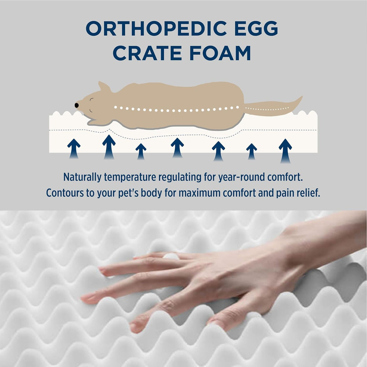 Bedsure Dog Bed Medium Size Dog - Orthopedic Flat Puppy Beds with Removable Washable Cover, Egg Crate Foam Pet Mat, Suitable for Pet Up to 35 lbs