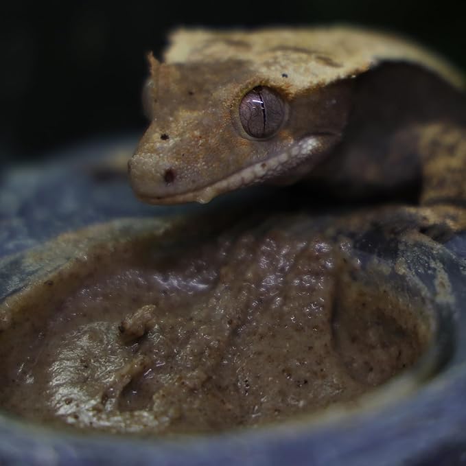 Crested Gecko Diet | Fruit & Bug | All Natural Low Fat Complete Gecko Food | 2.1oz