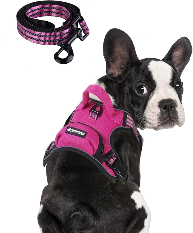 BUMBIN Dog Harness for Large Dogs, No Pull Adjustable No Choke Pet Vest with Dog Leash Fit Smart Reflective Pet Walking Harness for Training Easy Control Soft Handle Rose Red S
