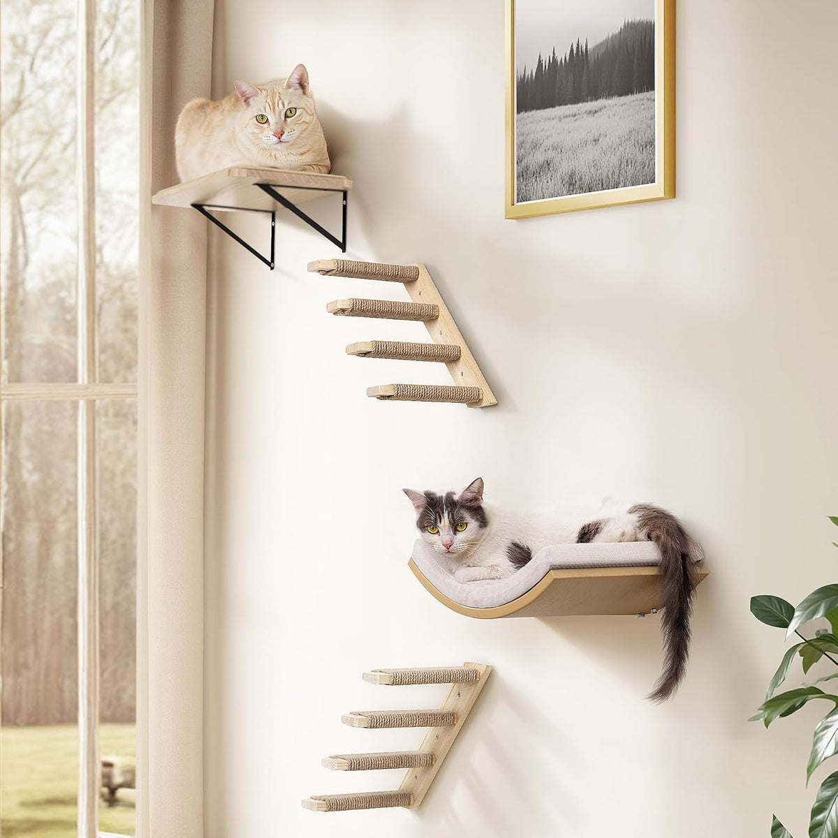4-Piece Cats Wall Furniture with Cat Window Perch – Wood Wall Mounted Cat Shelves Set with Foam-Padded Curved Bed, Flat Perch & 4-Step Cats Stairs