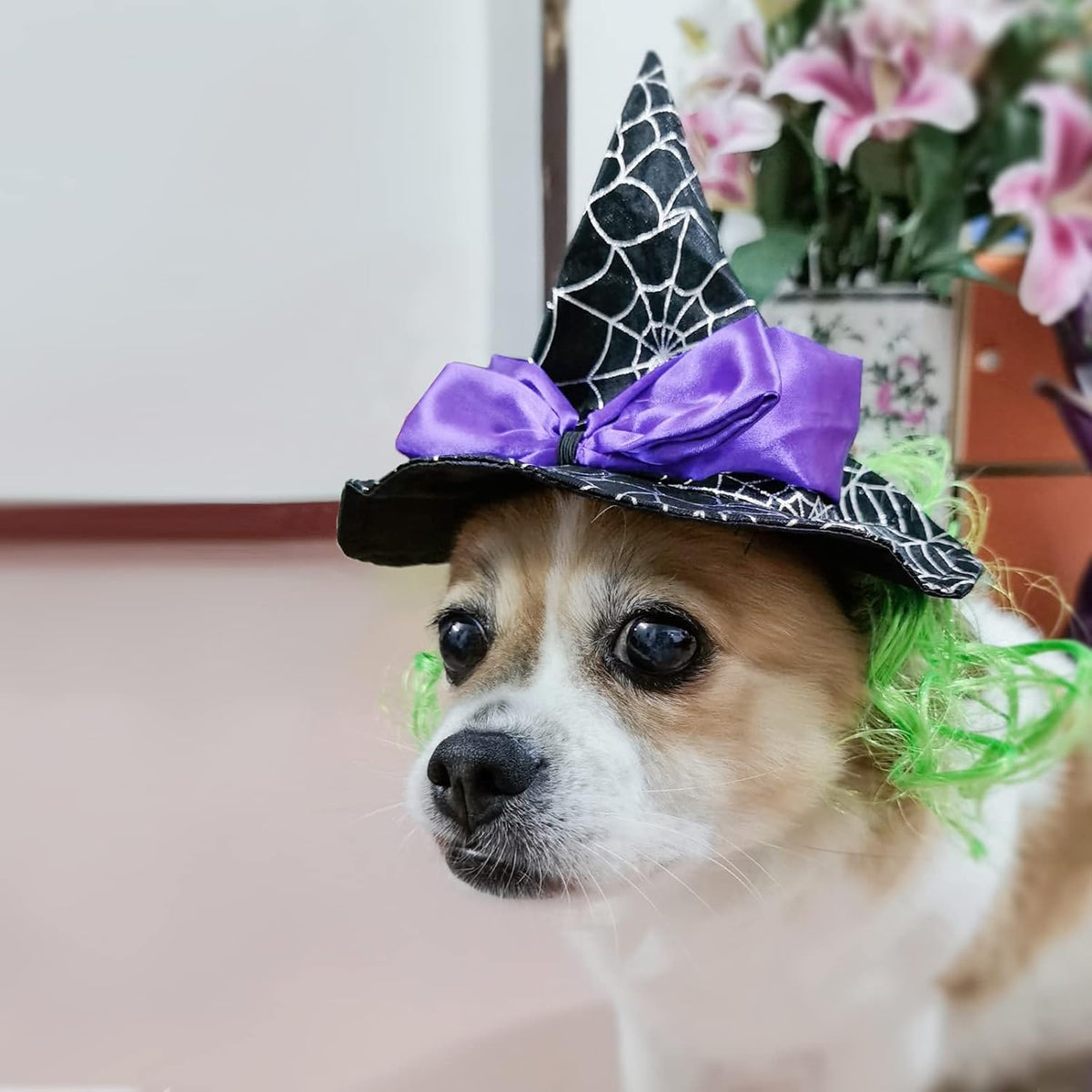 Enjoying Pet Halloween Costumes for Cats Small Dogs, Cat Witch Hat with Funny Wig, Adjustable Doggie Witch Hat Outfit, Kitten Halloween Sorcery Hat Cosplay