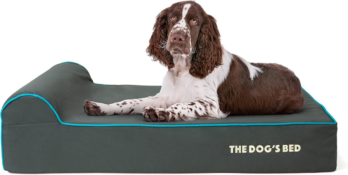 The Dog’s Bed Orthopedic Headrest Dog Bed Large Grey/Blue 40x25, Memory Foam, Pain Relief for Arthritis, Hip & Elbow Dysplasia, Post Surgery, Lameness, Veterinary Approved, Waterproof Washable Cover