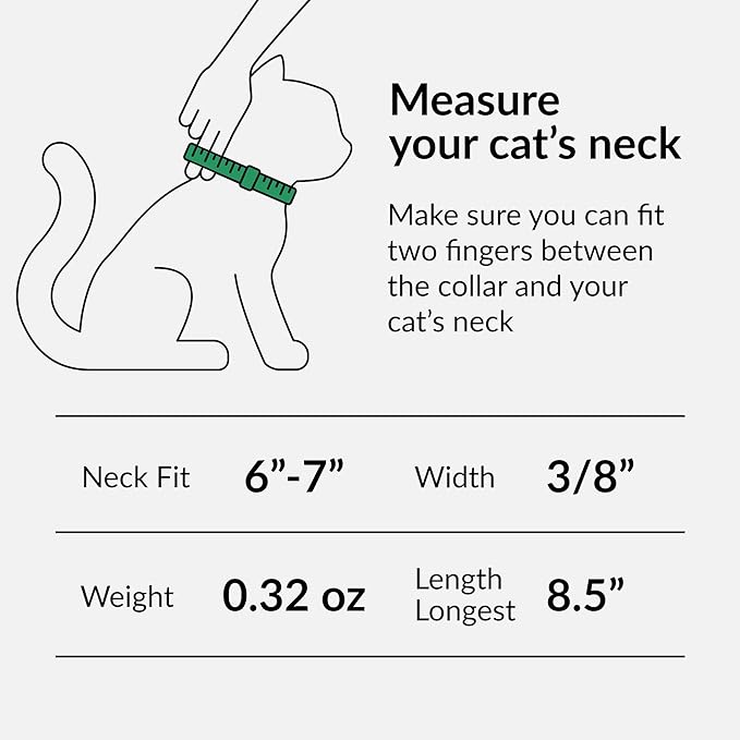 CollarDirect Leather Cat Collar with Bell - Kitten Collar, Small and Big Cat Collar for Boy Cats, Girl Cats with Safety Elastic Strap (Neck Fit 6"-7", Lime Green)