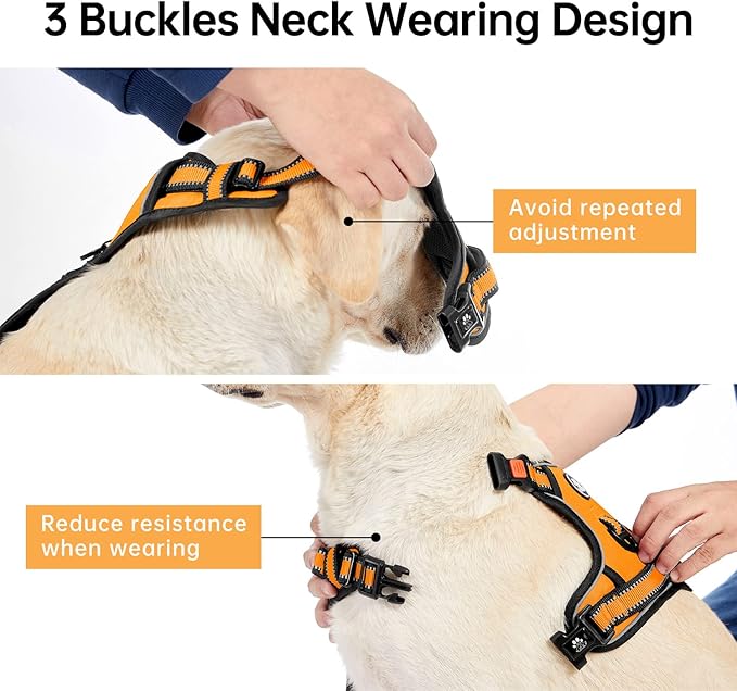 IVY&LANE No Pull Dog Harness for Small Dogs, Vest Harness with Leash, Safety Belt and Storage Strap, Fully Adjustable, 360° Reflective Strip, Soft Handle (Orange, S)
