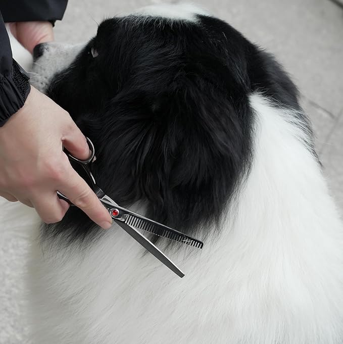 Dog Grooming Scissors Kit, Fcysy Professional Pet Hair Cutting Shears Set with Curved & Straight Blades Scissors Thinning Shears– Stainless Steel Grooming Tools for Dogs & Cats at Home