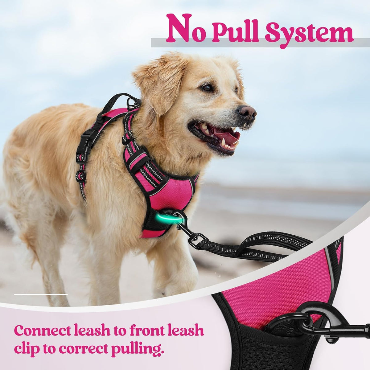 rabbitgoo Dog Harness No Pull with 2 Leash Clips, Adjustable Soft Padded, Reflective Oxford No Choke Pet Vest with Easy Control Handle for Large Dogs, Hot Pink, S