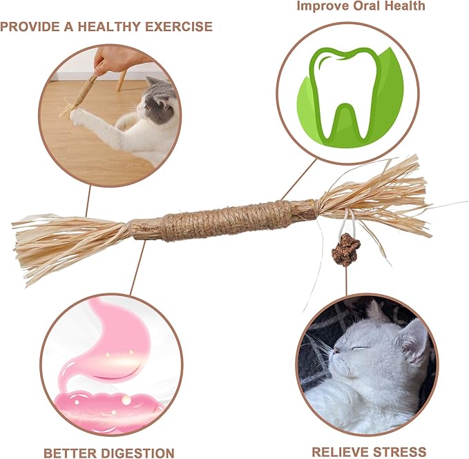 PAZ'S GIFT Catnip Toy Cat Toys Catnip Toy cat chew Toy cat Kicking silvervine Stick Teeth Cleaning Cute Kitten Teething Indoor Interactivecat Dental Care Matatabi (Raffia 2pcs)