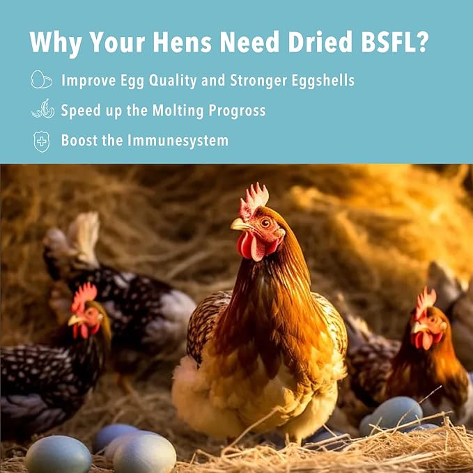 11LB Dried Black Soldier Fly Larvae,Chicken Feed More Calcium Than Mealworms for Chickens,Laying Hens,Blue Birds