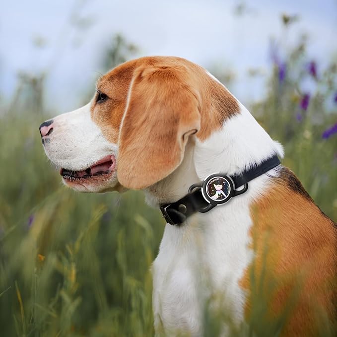Waterproof Airtag Dog Collar Holder, Silicone & ABS Airtag Holder for Dog & Cat Collars, Ultra-Durable, Lightweight and Protective Airtag Case (Black-1, Regular)