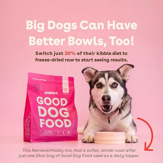 Pupford Good Dog Food, Freeze-Dried Raw, High-Protein, Superfood Ingredients, Vet-Approved, No Fillers or Artificial Additives (Lamb & Salmon Recipe, 16 oz)